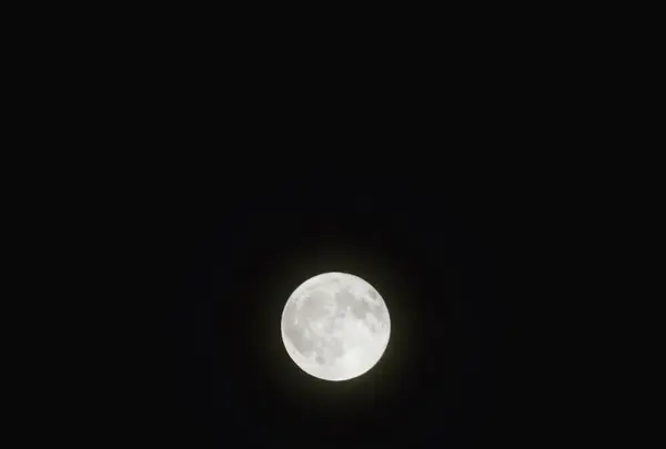 ほったらかし温泉の写真・動画_image_157484