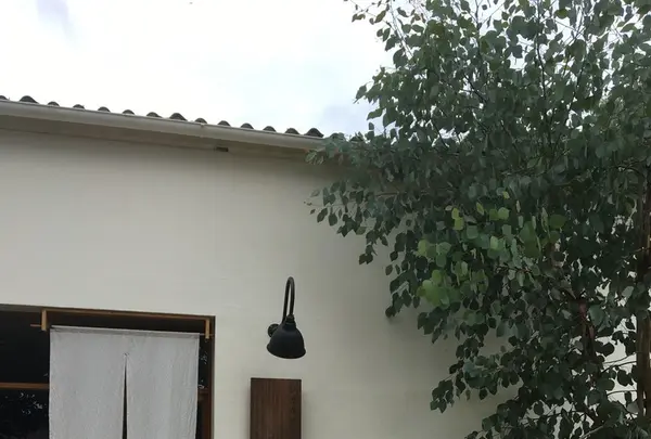 瓦そばと珈琲と。シガ食堂の写真・動画_image_157544