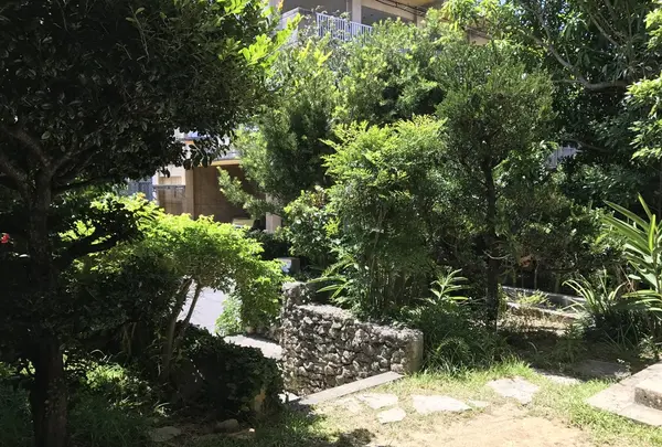 来夏世の写真・動画_image_157581