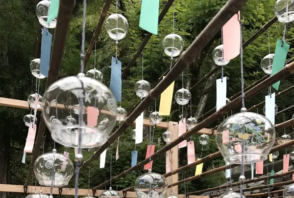 正寿院の写真・動画_image_157586