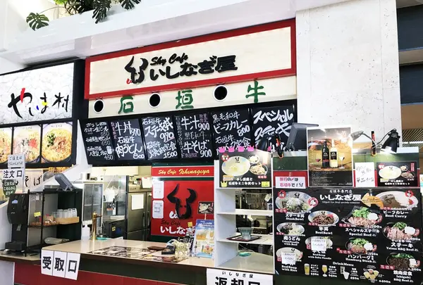 新石垣空港（南ぬ島石垣空港）の写真・動画_image_157842