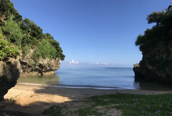 青の洞窟の写真・動画_image_157892