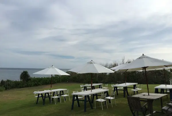 プカプカ（ＰＵＦＦＰＵＦＦ）カフェ＆レストランの写真・動画_image_157970