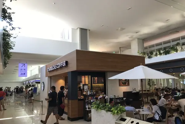 新石垣空港（南ぬ島石垣空港）の写真・動画_image_157971