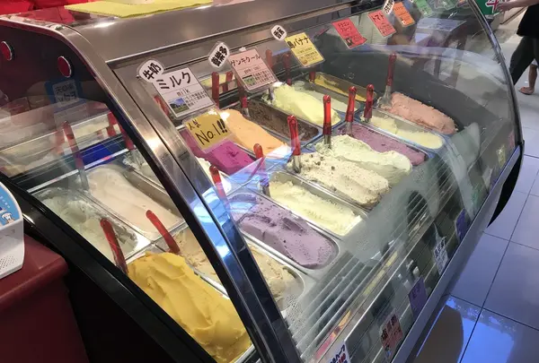 新石垣空港（南ぬ島石垣空港）の写真・動画_image_157973