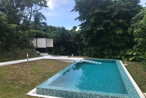 ユサンディの写真・動画_image_158116