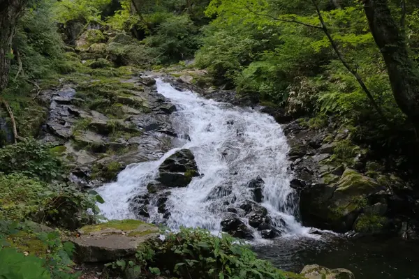 阿弥陀ケ滝の写真・動画_image_158153