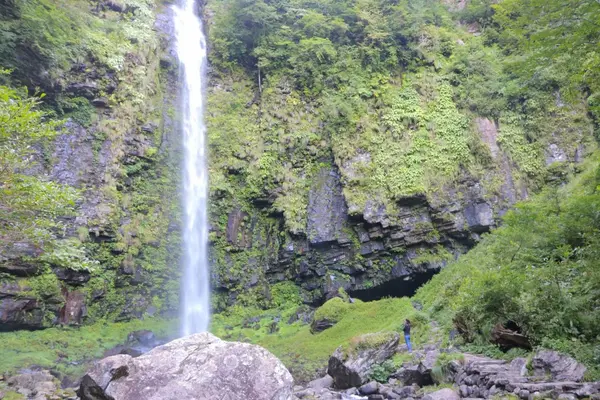 阿弥陀ケ滝の写真・動画_image_158154