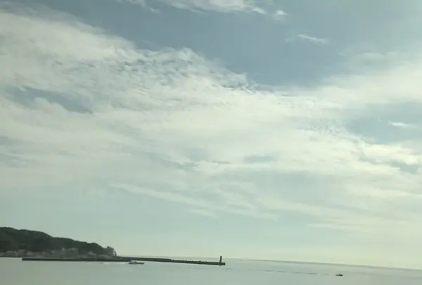 加太・友ケ島の写真・動画_image_158161