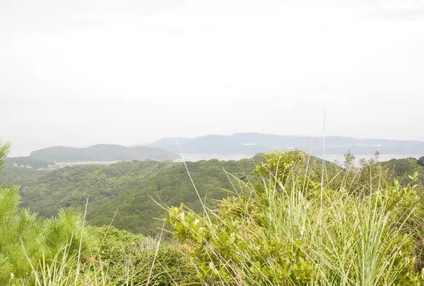 加太・友ケ島の写真・動画_image_158168