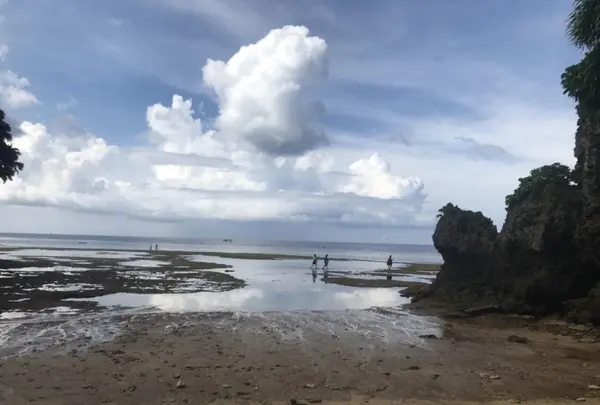 青の洞窟の写真・動画_image_158239