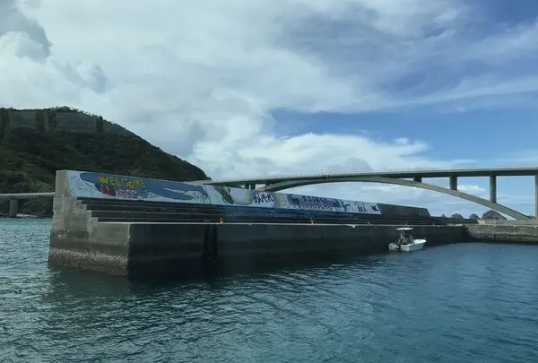 阿嘉港の写真・動画_image_158847
