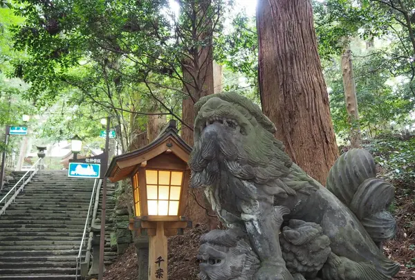 高千穂神社の写真・動画_image_158922