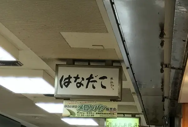 はなだこの写真・動画_image_159022
