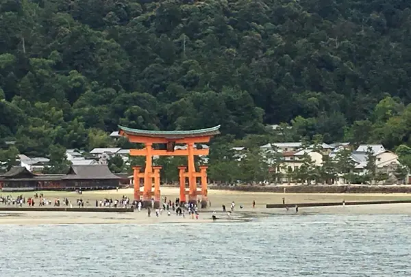 JR西日本宮島フェリーの写真・動画_image_159075