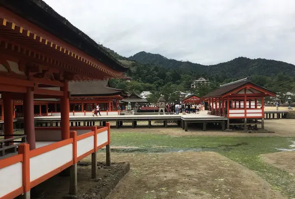 厳島神社の写真・動画_image_159083