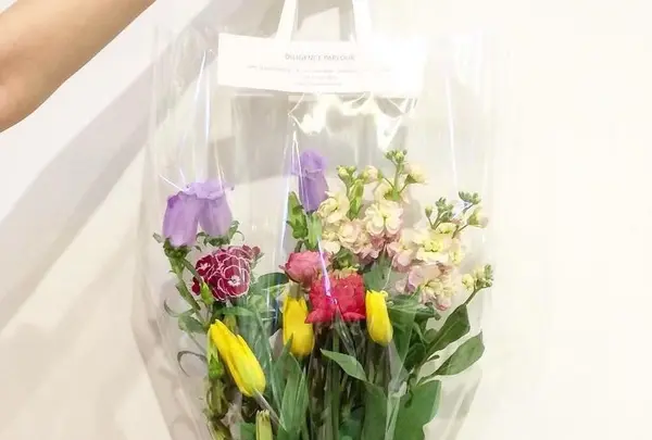 DILIGENCE PARLOURの写真・動画_image_159125