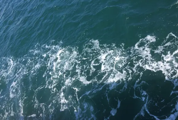 家老渡フェリー乗り場の写真・動画_image_159219