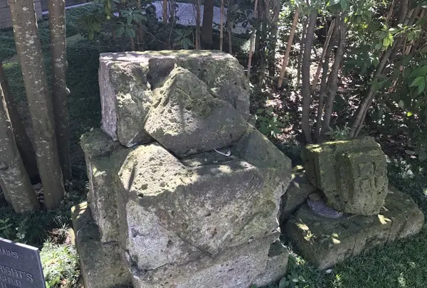 Tokyo American Clubの写真・動画_image_159221