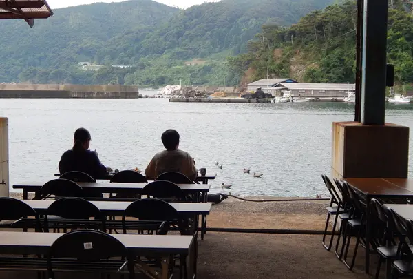 漁港めしの写真・動画_image_159305