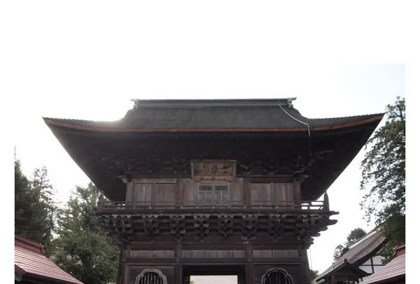 禅林街の写真・動画_image_159349