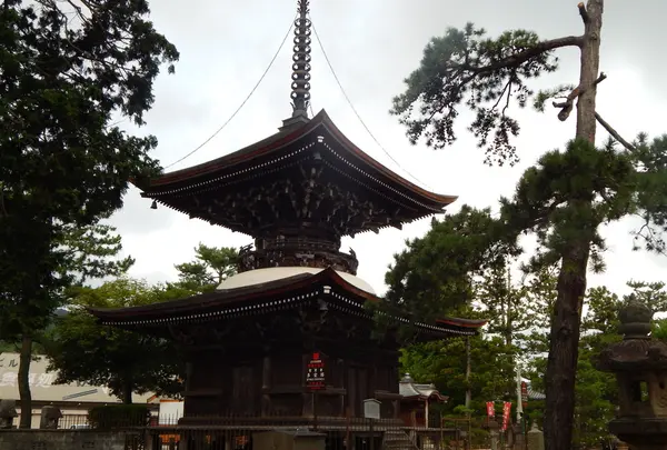智恩寺の写真・動画_image_159360