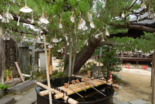 智恩寺の写真・動画_image_159361