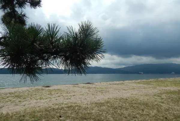 天橋立の写真・動画_image_159371