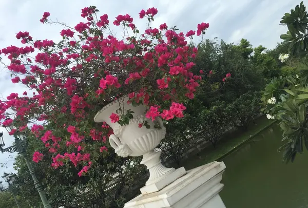 พระราชวังบางปะอินの写真・動画_image_159503