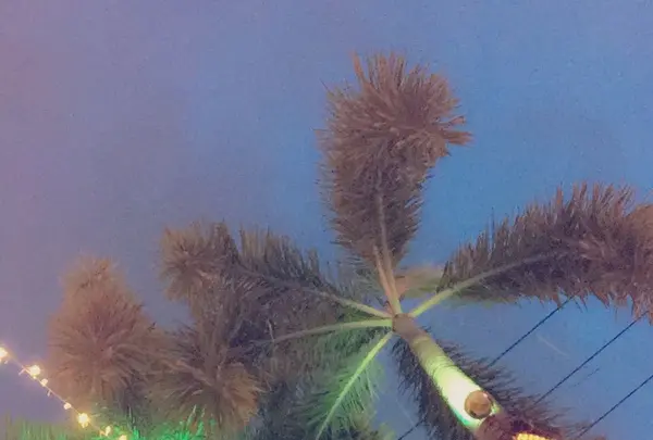 バンコクの写真・動画_image_159522