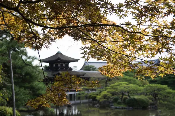 平安神宮の写真・動画_image_159528