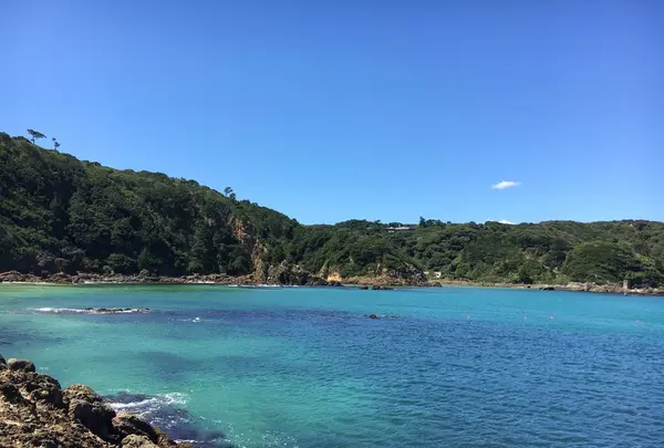 爪木崎の写真・動画_image_159558