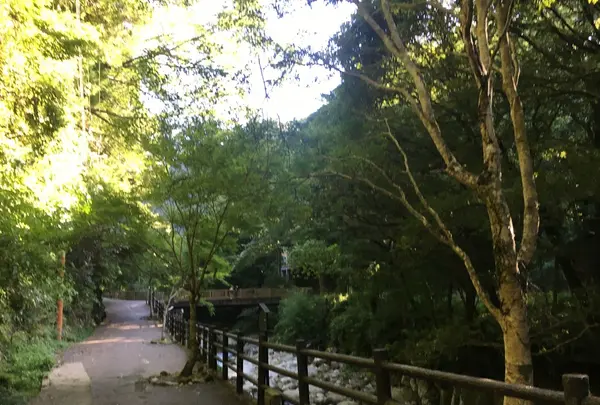 河津七滝の写真・動画_image_159561