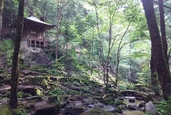 金引の滝の写真・動画_image_159789