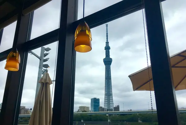 タリーズコーヒー 隅田公園店の写真・動画_image_159961