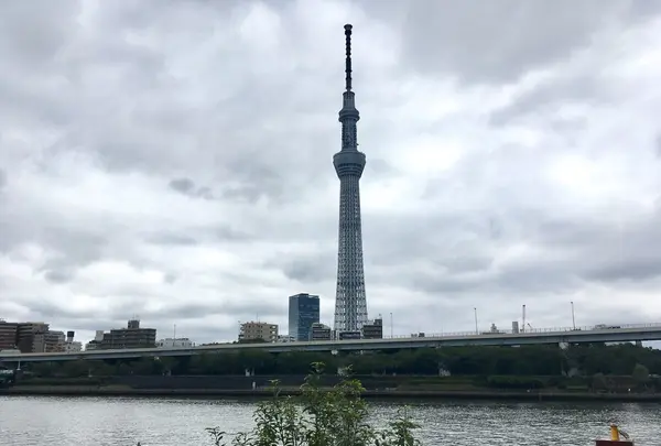 タリーズコーヒー 隅田公園店の写真・動画_image_159963