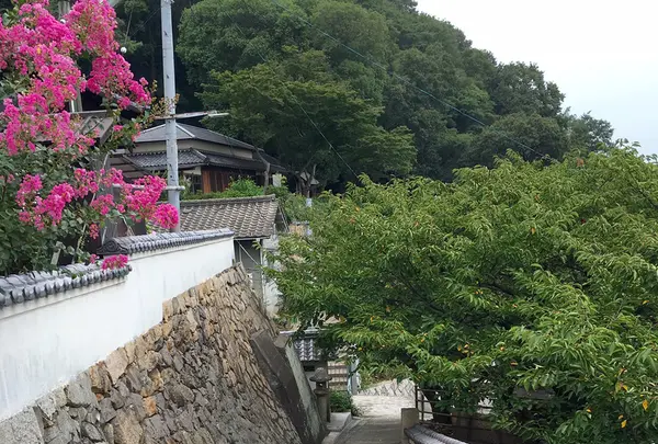 医王寺の写真・動画_image_159978