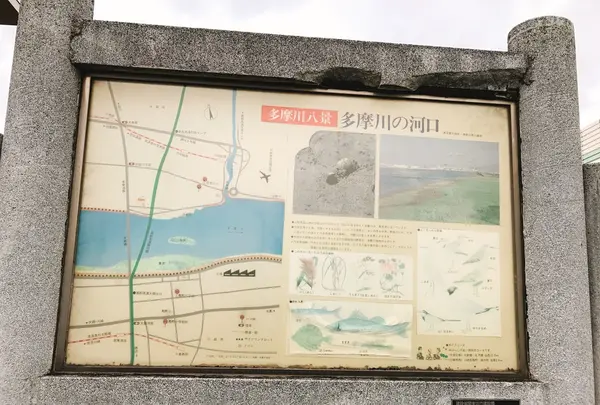 羽田の渡しの写真・動画_image_159992