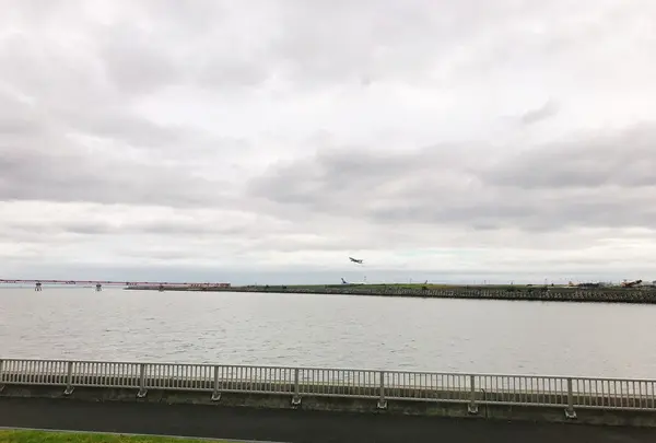 京浜島つばさ公園の写真・動画_image_159997