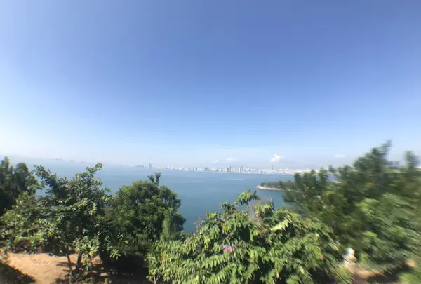 レディブッダの写真・動画_image_160026