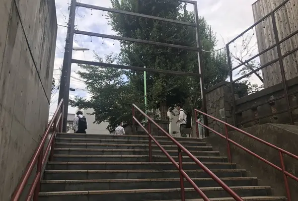 須賀神社の写真・動画_image_160069