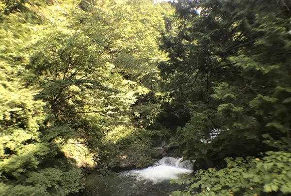 鷹ノ巣山の写真・動画_image_160171