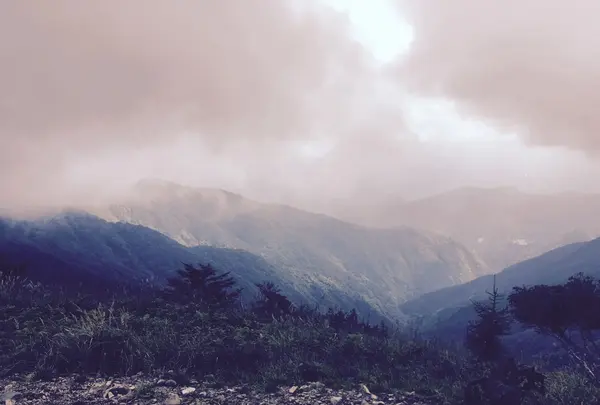 鷹ノ巣山の写真・動画_image_160172