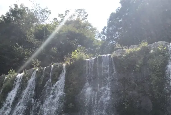 山中湖花の都公園の写真・動画_image_160183