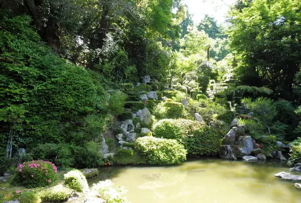 龍潭寺の写真・動画_image_160247