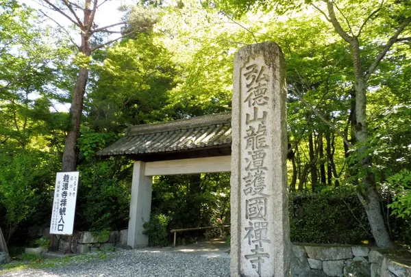 龍潭寺の写真・動画_image_160249