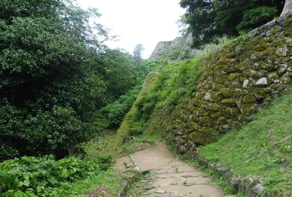 彦根城の写真・動画_image_160264