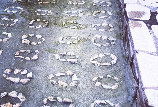 万葉公園の写真・動画_image_160300