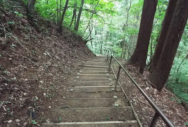 慰霊の森の写真・動画_image_160349