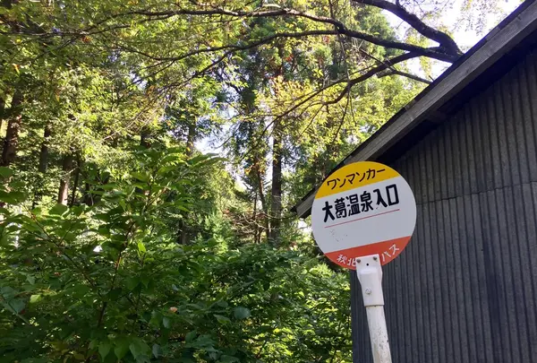 大葛温泉の写真・動画_image_160399